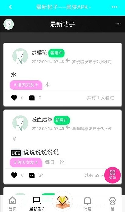 黑侠apk