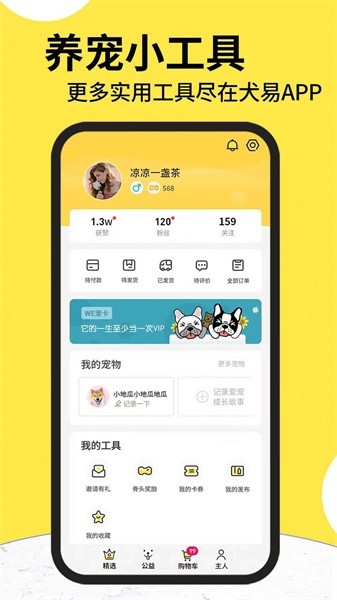 犬易宠物