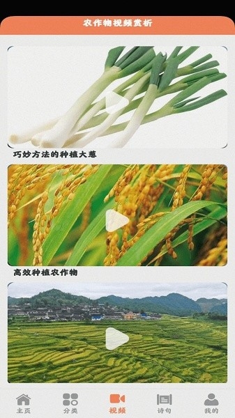 田园小院
