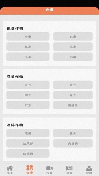 田园小院